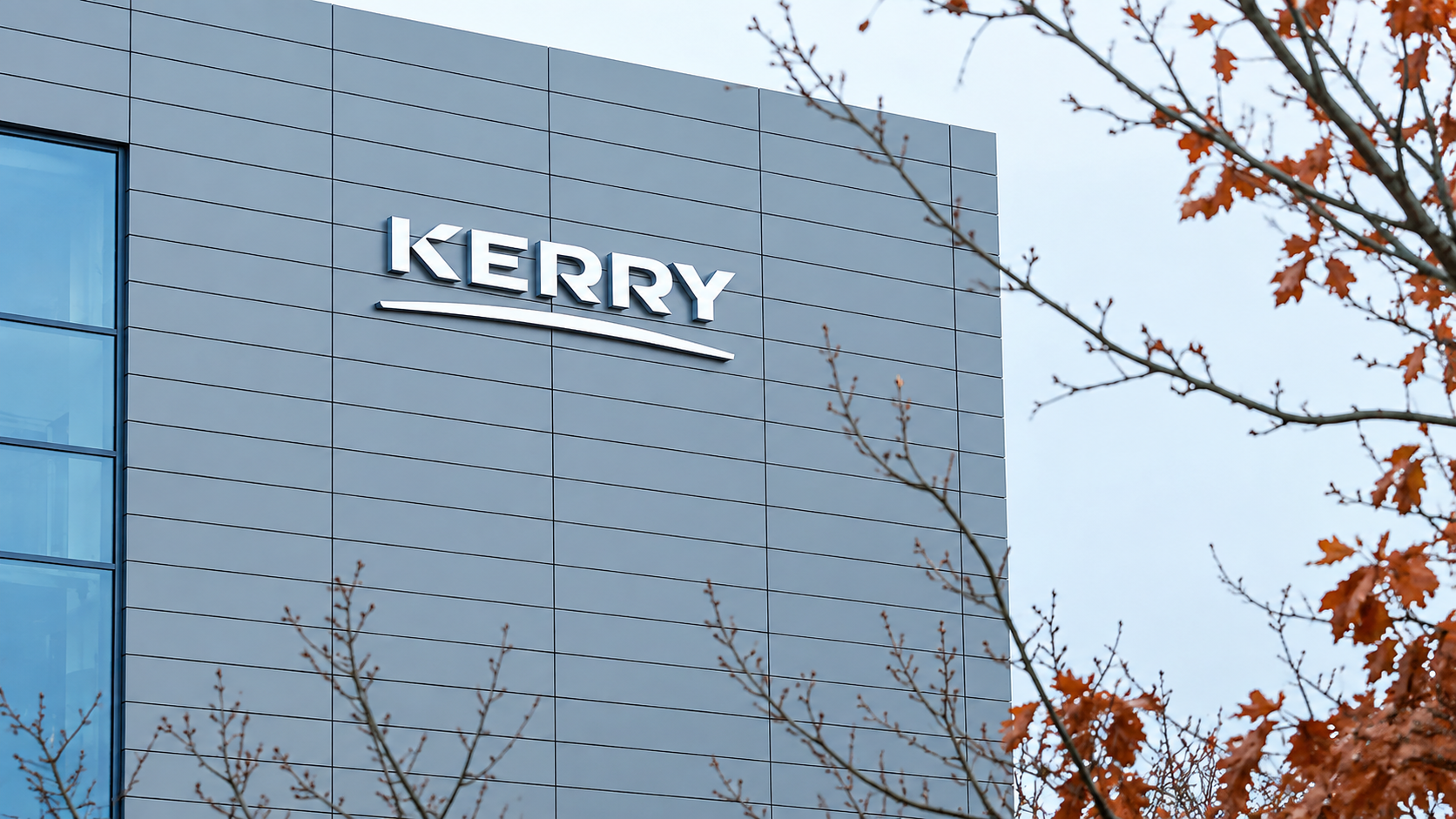 Kerry Group Maltepe Ofis Projesi